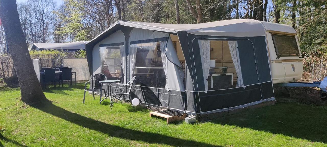 Bollingso Camping Engesvang Εξωτερικό φωτογραφία